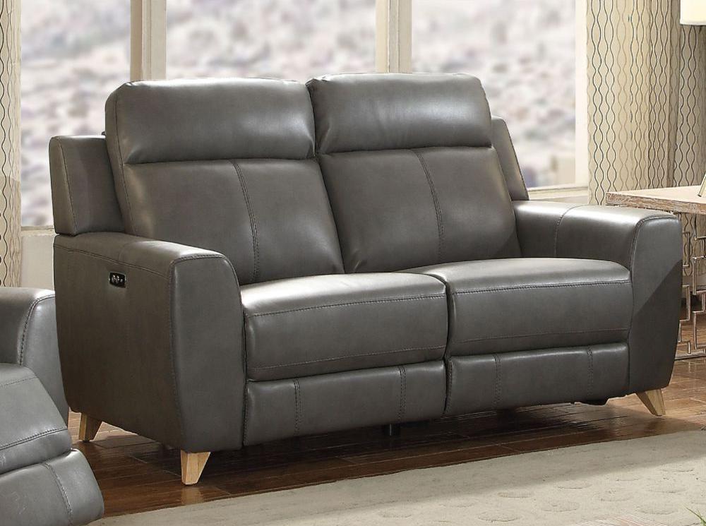 Cayden Loveseat in Gray Leather-Aire Match