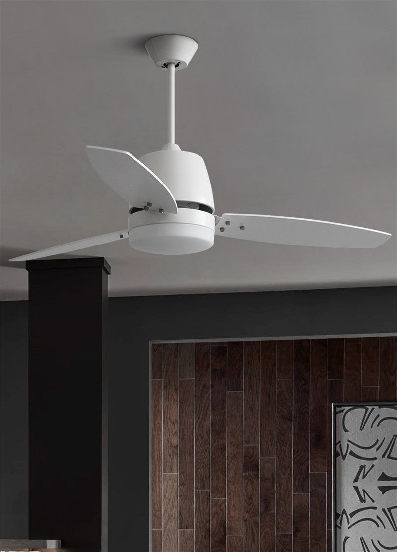 Living Room Ceiling Fan Light