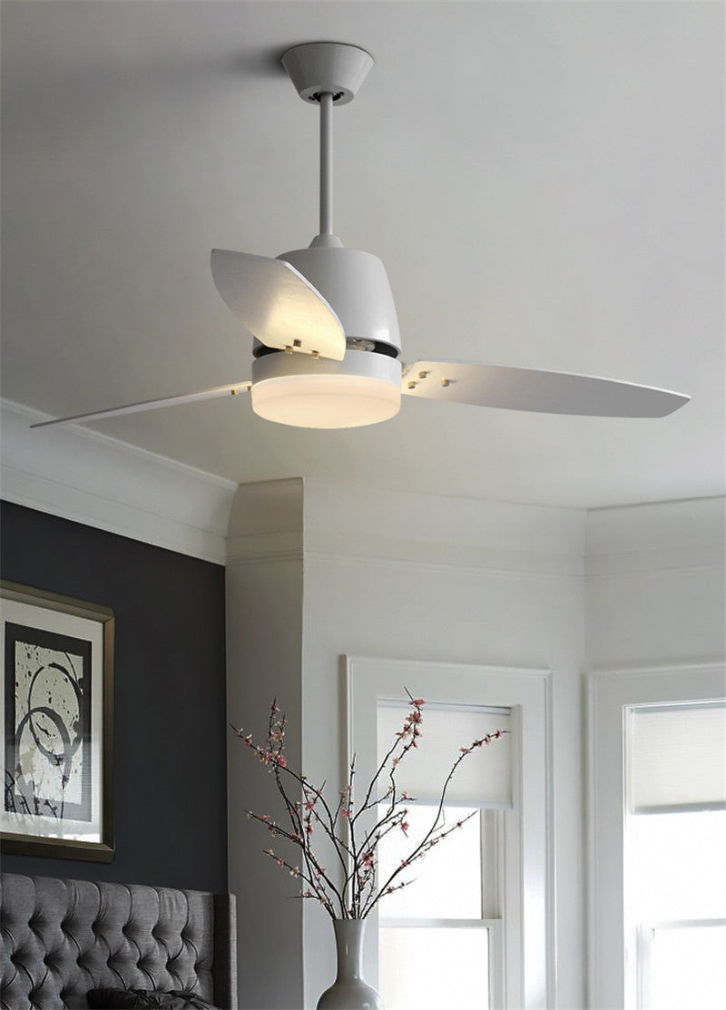 Living Room Ceiling Fan Light