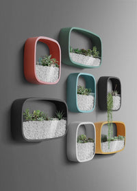 Thumbnail for Round Wall Planters