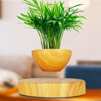 Thumbnail for Levitating Bamboo Planter