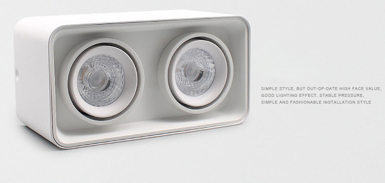 Square Double-ended Surface Mount Downlight